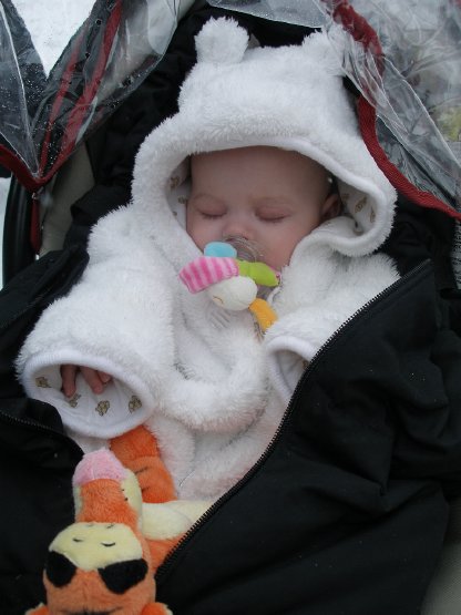 Rosenmontag2010 145.jpg